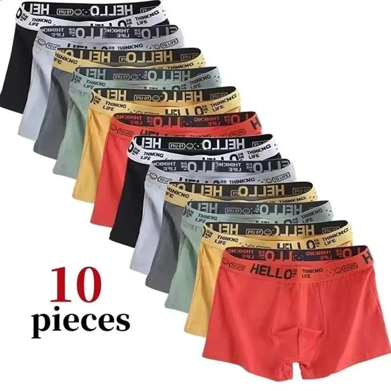 thumbnail image 2 of Razorwire Men's Big & Tall Boxer Shorts – 6-Pack Multi, Stretchy Fit (3XL-5XL) 2 of 5