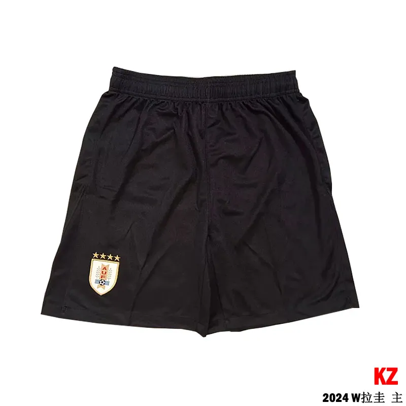 Premium 24/25 National Team Us Soccer Team Shorts 2022