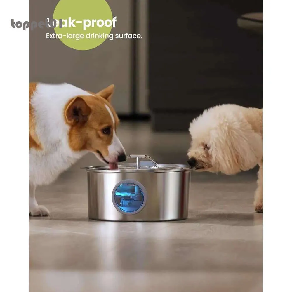 Water Dispenser For Dogs 3-Gallon Stainless Steel Dog Water