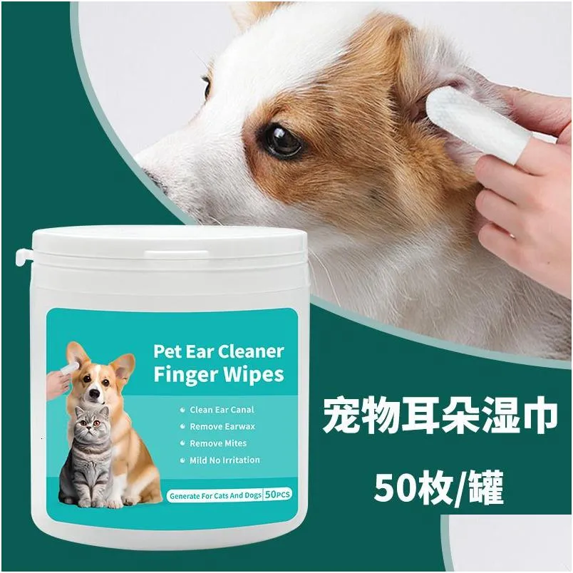 A Guide to Grooming Cats Tools and Techniques