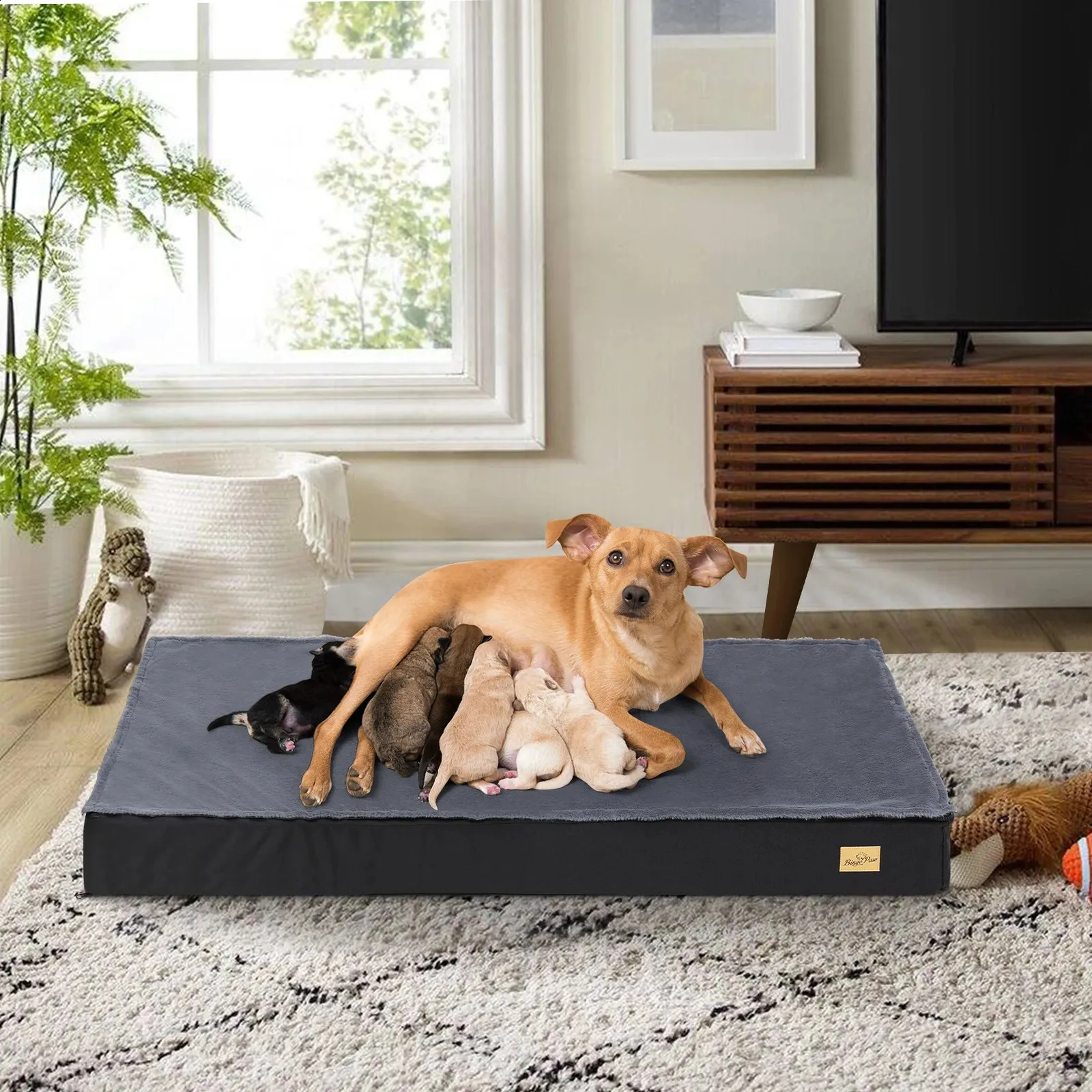 Ortho dog beds for large dogs hotsell