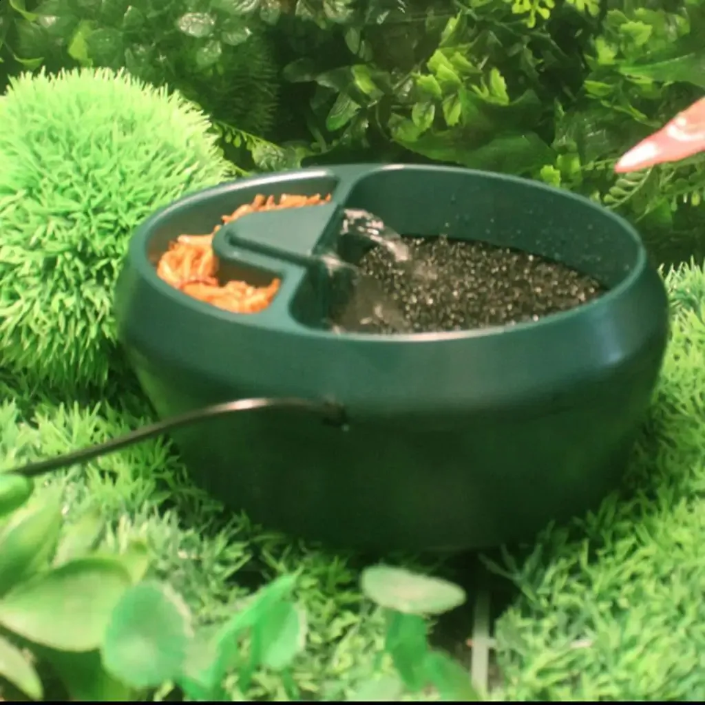 Dripper terrarium hotsell