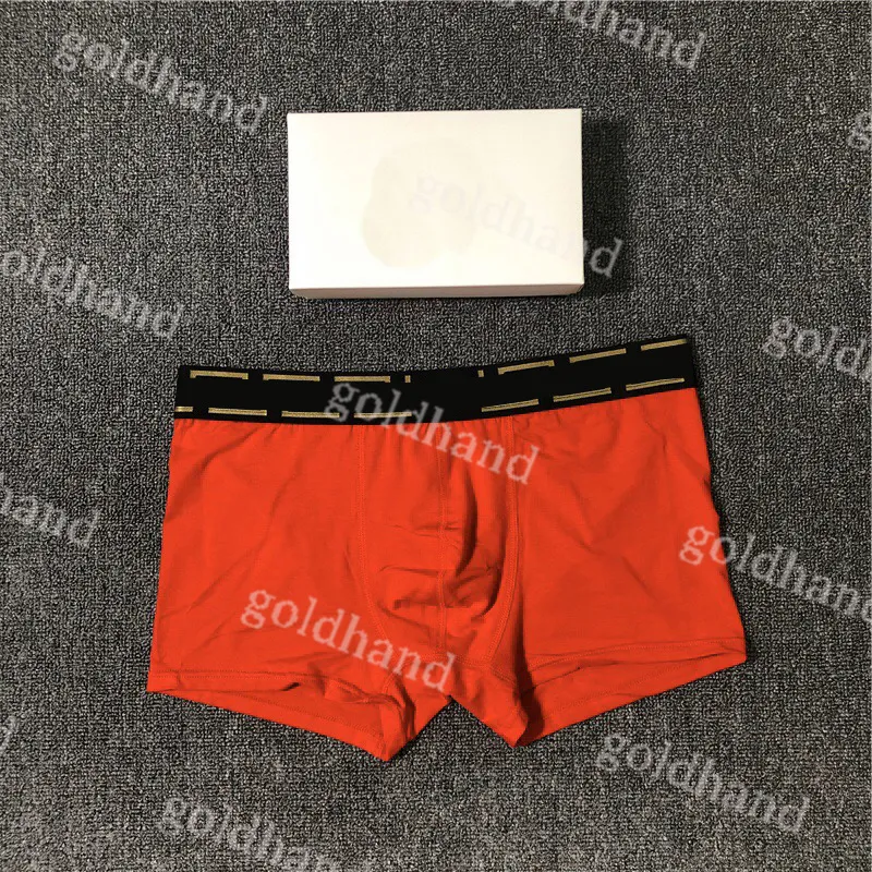 Men Designer Shorts Underpants Luxury Men Sport Boxers Sexy