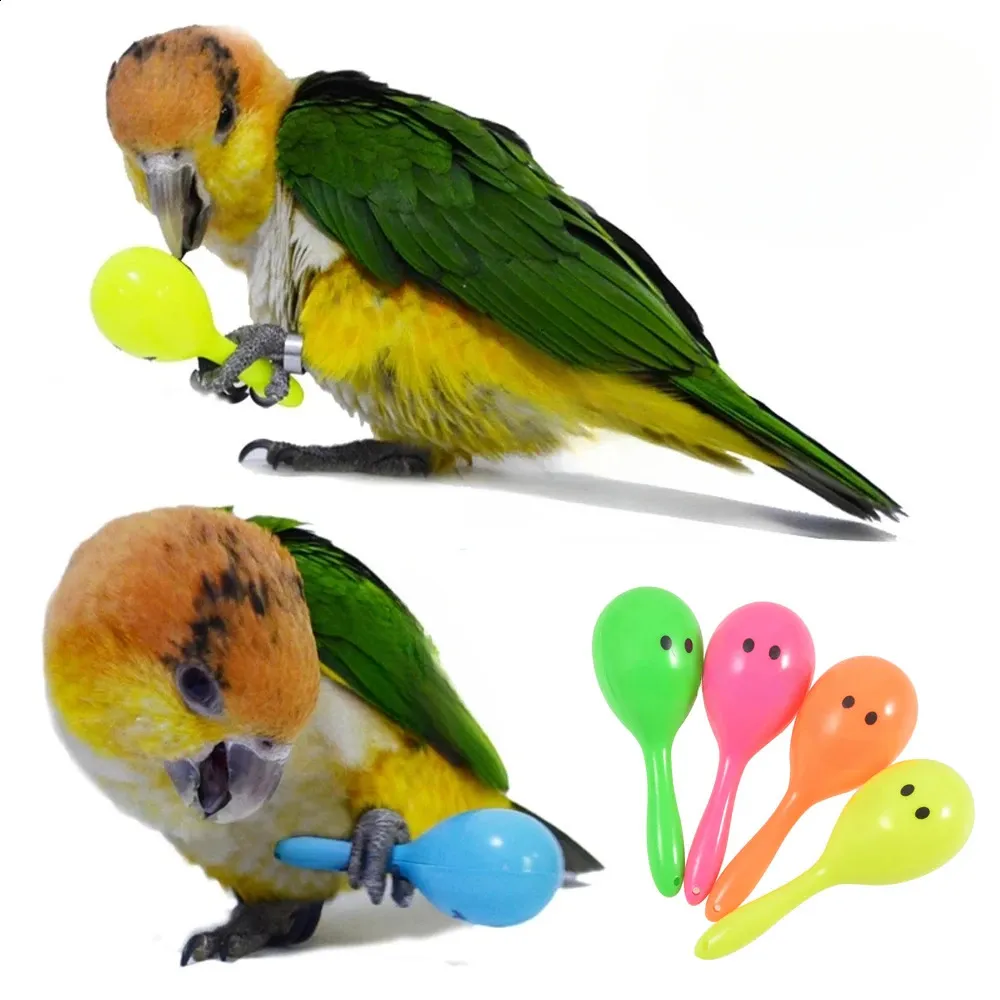 Picture of Interactive Parrot Toys: Rattle, Sand Hammer, & Bird Bites - Fun ...