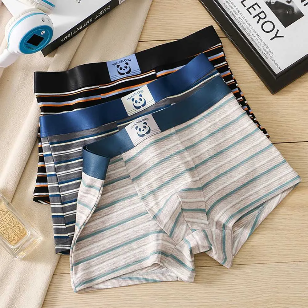 Resumen De Boxeadores De Algodón Para Hombres: Estampado De Panda