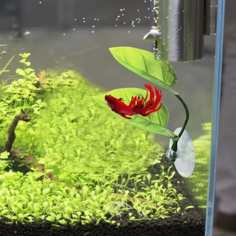 thumbnail image 2 of 4-Piece Betta Leaf Hammock Set - Adjustable Aquarium Resting Spots With Suction Cups 2 of 9