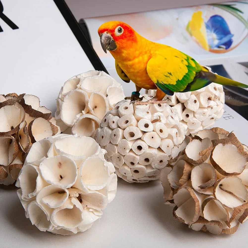 Vogelspielzeug Zum Kauen & Futtersuchen – Bunte Spielzeuge Für Papageien, Sittiche & Co.