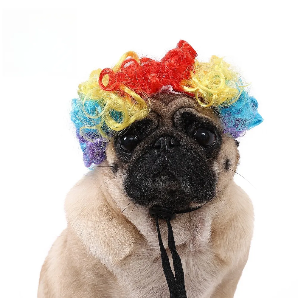Parrucca Verde Riccia Per Cani | Accessorio Divertente Per Halloween E Feste | Cappello Peloso Per Animali Con Cinghia Regolabile