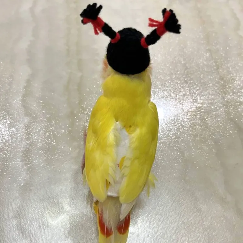Save Big on Bulk Funny Parrots Headwear Small Animal Hamster Upright Braids  Knitted Hat Festival Party Birds Clothes Accessories Pets Supplies Best 