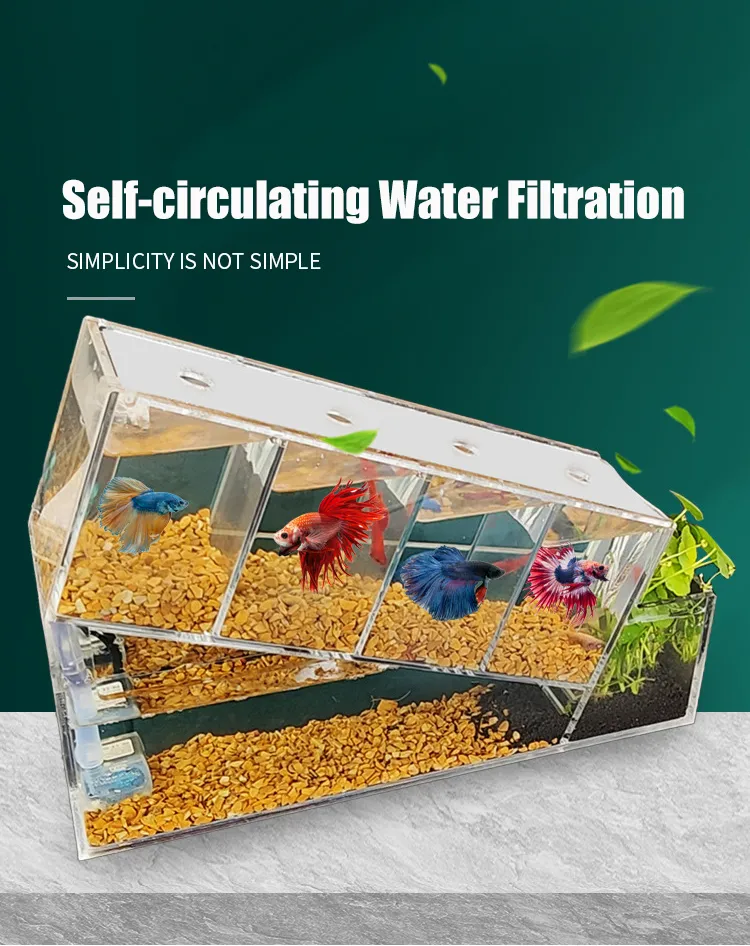 Multi-Cell Isolation Betta Fish Tank - Self-Circulating Aquarium, Ideal ...