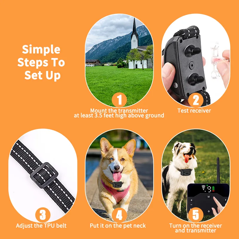 Petco vibrating dog collar online