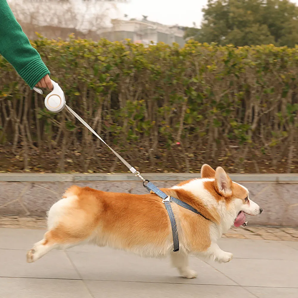 china best indestructible plush dog toys Indestructible Dog Toys – DoggoComfy main image 0