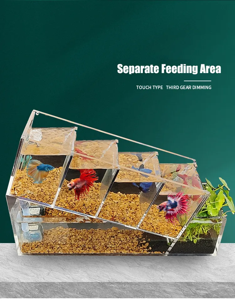 Multi-Cell Isolation Betta Fish Tank - Self-Circulating Aquarium, Ideal ...