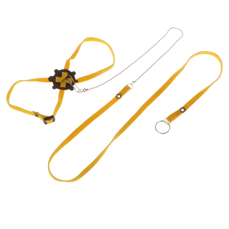 Adjustable Reptile Harness & Leash for Turtles, Lizards, and Tortoises ...