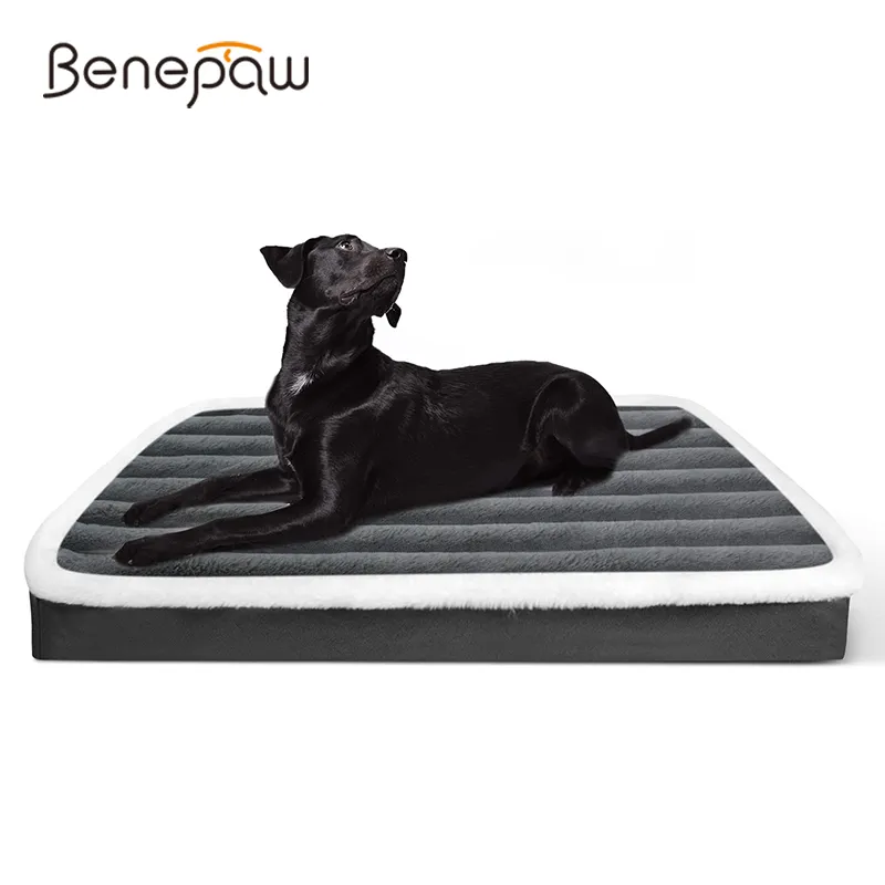 Foam Cushions Trustypup Orthopedic Dog Bed Benepaw Soft Orthopedic