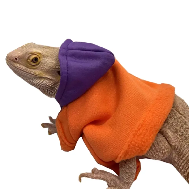 Photo Costume Bearded Dragon Bearded Dragon Hoodie - Adjustable Cotton Clothing For Reptile Protection & Photo Outfits Pet Dragon Sweater