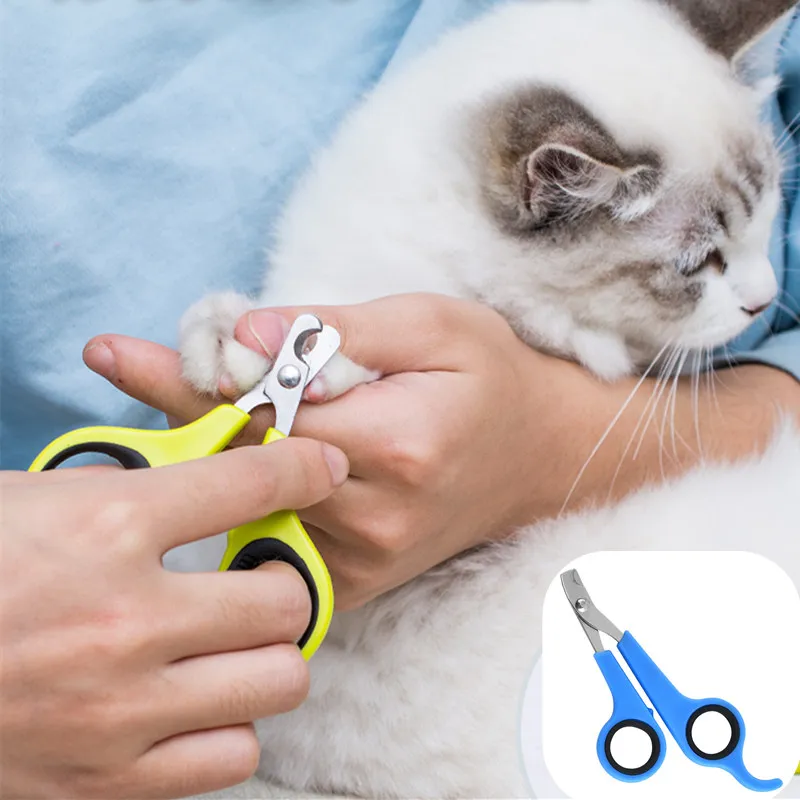 Use Human Nail Clippers approximative Cats