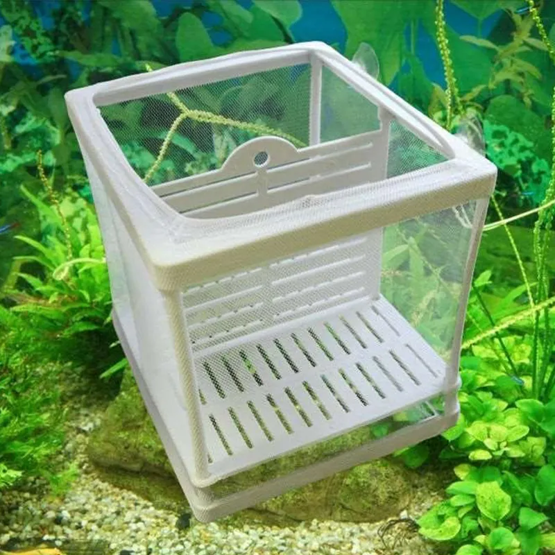 breeding nets for baby fish Superfish Net Box Aquarium Fry Babies – Pro Shrimp not easy to slip off 6 Fish Breeding Tanks | Traps