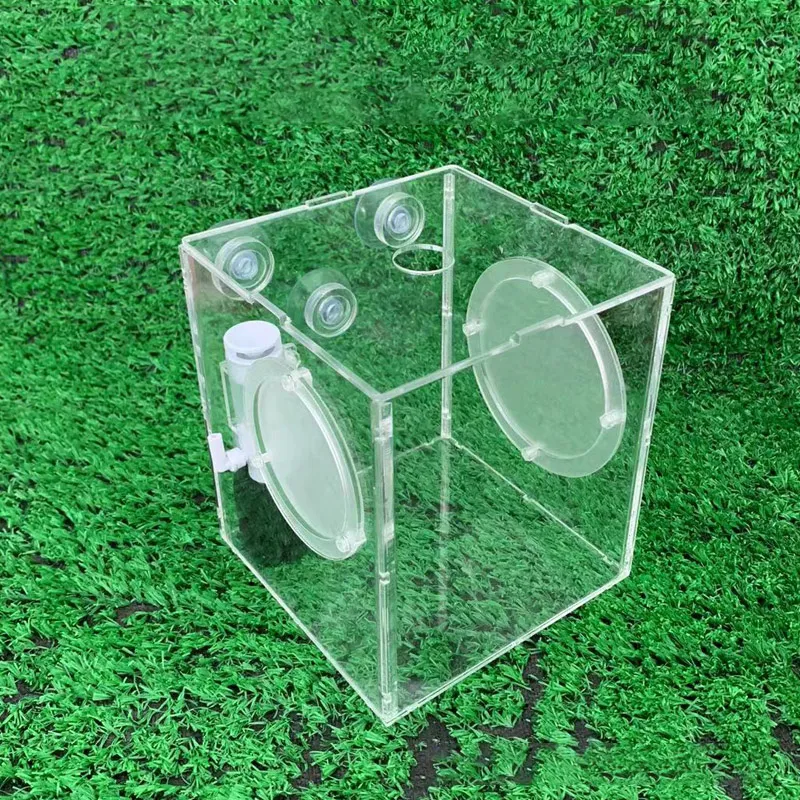 Acrylic Guppy Betta Breeding Tank Hatching Container Small Size For ...