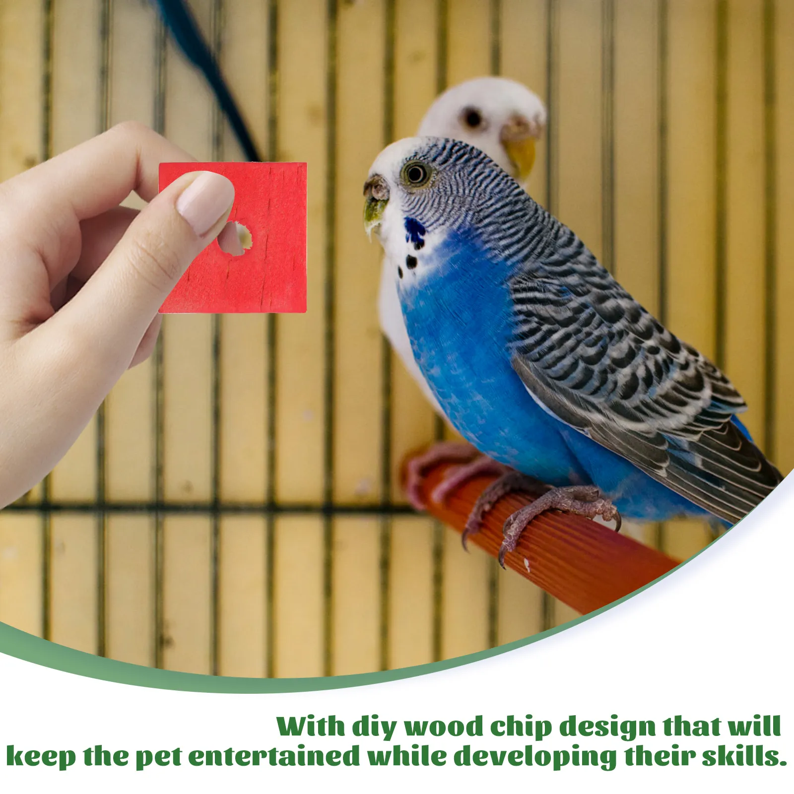 12 Plastic Spools bird toy parts parrots cages crafts