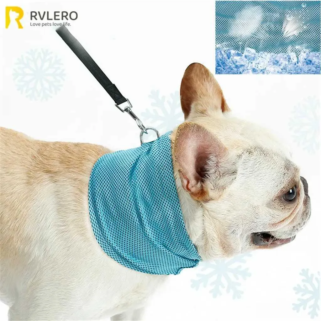 Breathable Summer Patpet P Collar 320 And Leash Set With Instant Cooling And Heat Prevention Reusable Ice Bandana For Outdoor Use Protects Skin And Enhances Safety Pet Scarf From Sihuai07 6.32 DHgate....