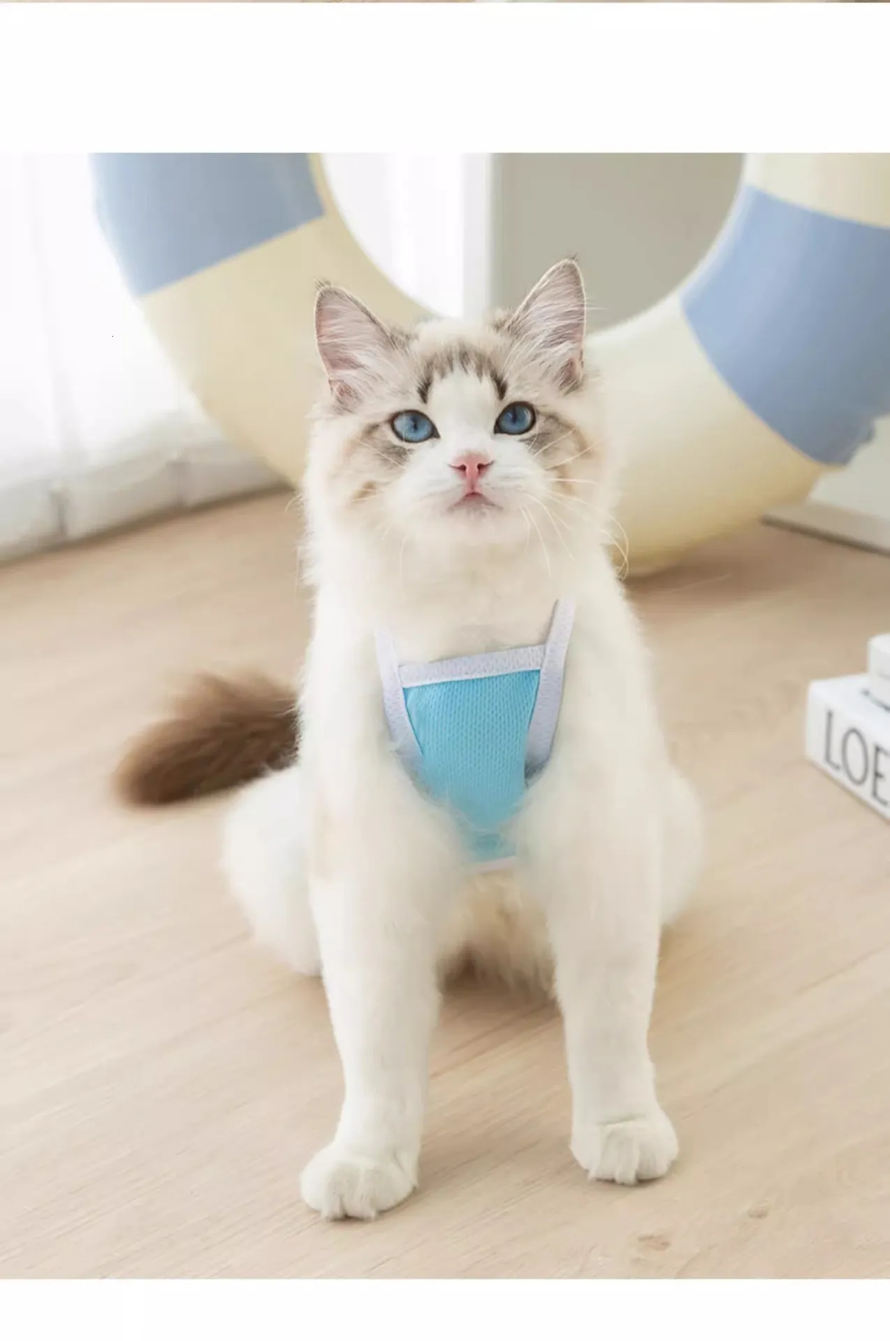 DHgate.com:Cute Cat Clothes - Embroidered Kitten Tank Top