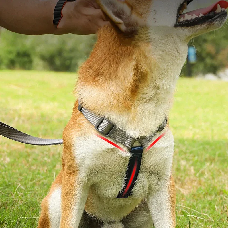 Dual Dog Leash PetBonus Double Dog Leash Coupler, No Tangle