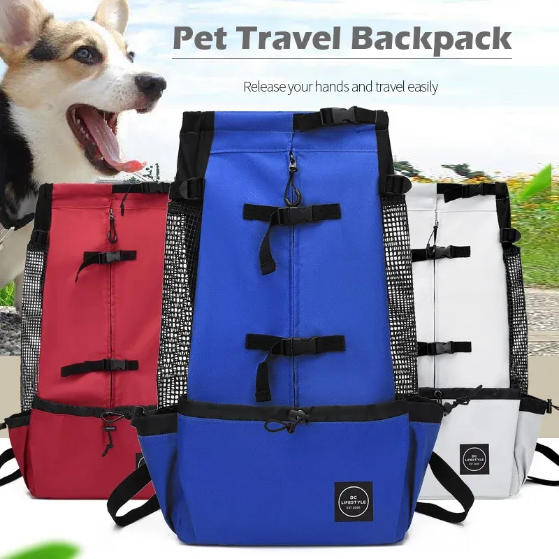 Carriers Portable Pet Carrier Backpack Bicycle Motorcycle Puppy Outdoors Travel Expandable Cage Dog Cat Walking Sport Breathable Mesh Bag