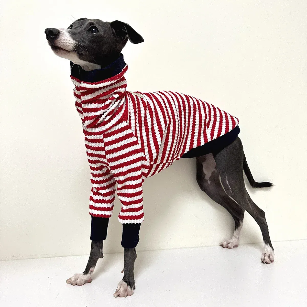 Felpe con cappuccio Vestiti in cotone per cani per levrieri italiani Whippet Vestiti caldi per cani invernali Strisce Vestiti per cani in cotone a due zampe Pigiama invernale per cani