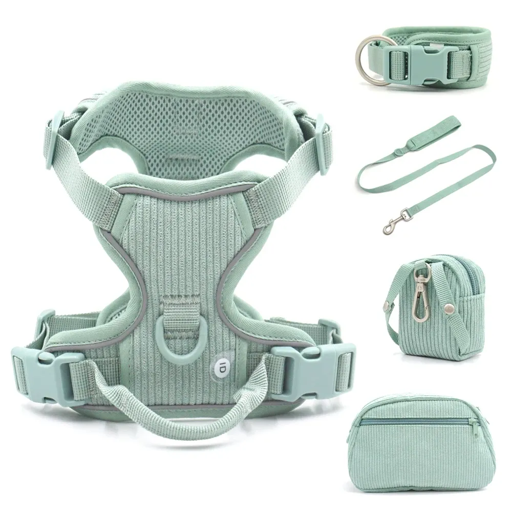 Morandi Green Personalized Dog CollarとLeashセットAntilost Airtag Support Dog Harness Puppy Harness Set with Walkingbag