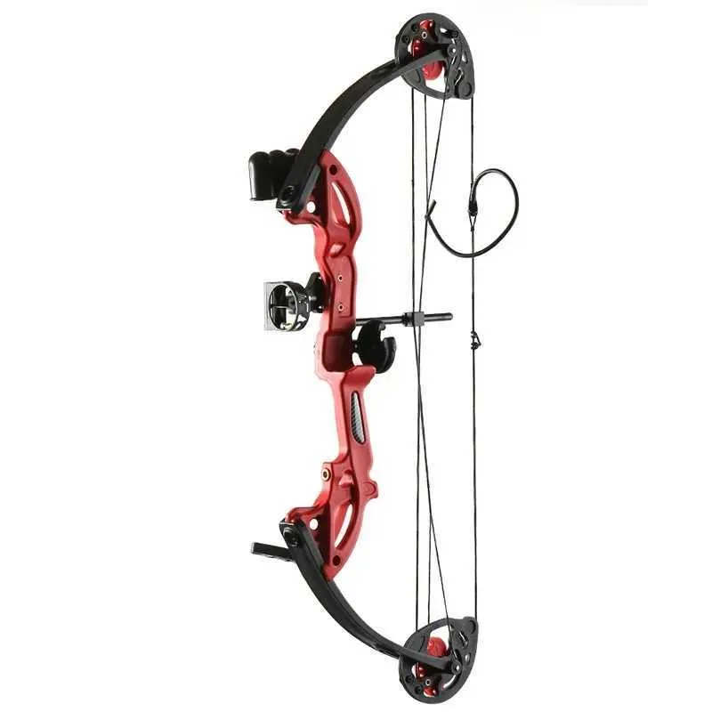 Yay ok 12-40 pound çocuk Bileşik Bow Set sağ el okçuluk Rekabet için Bow Açık Hava Dış Mekan Çekim Gençlik Çekim Spor YQ240301