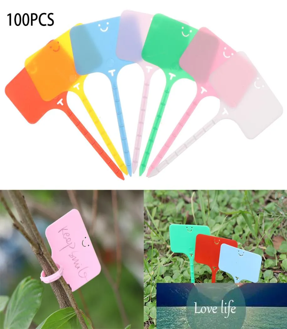 100st Colorful Plant Markers Garden Bonsai Succulent Seedings Taggar Sign PVC Gardening Etiketter Stake On Soil Paint Sticks Dropshi3928474
