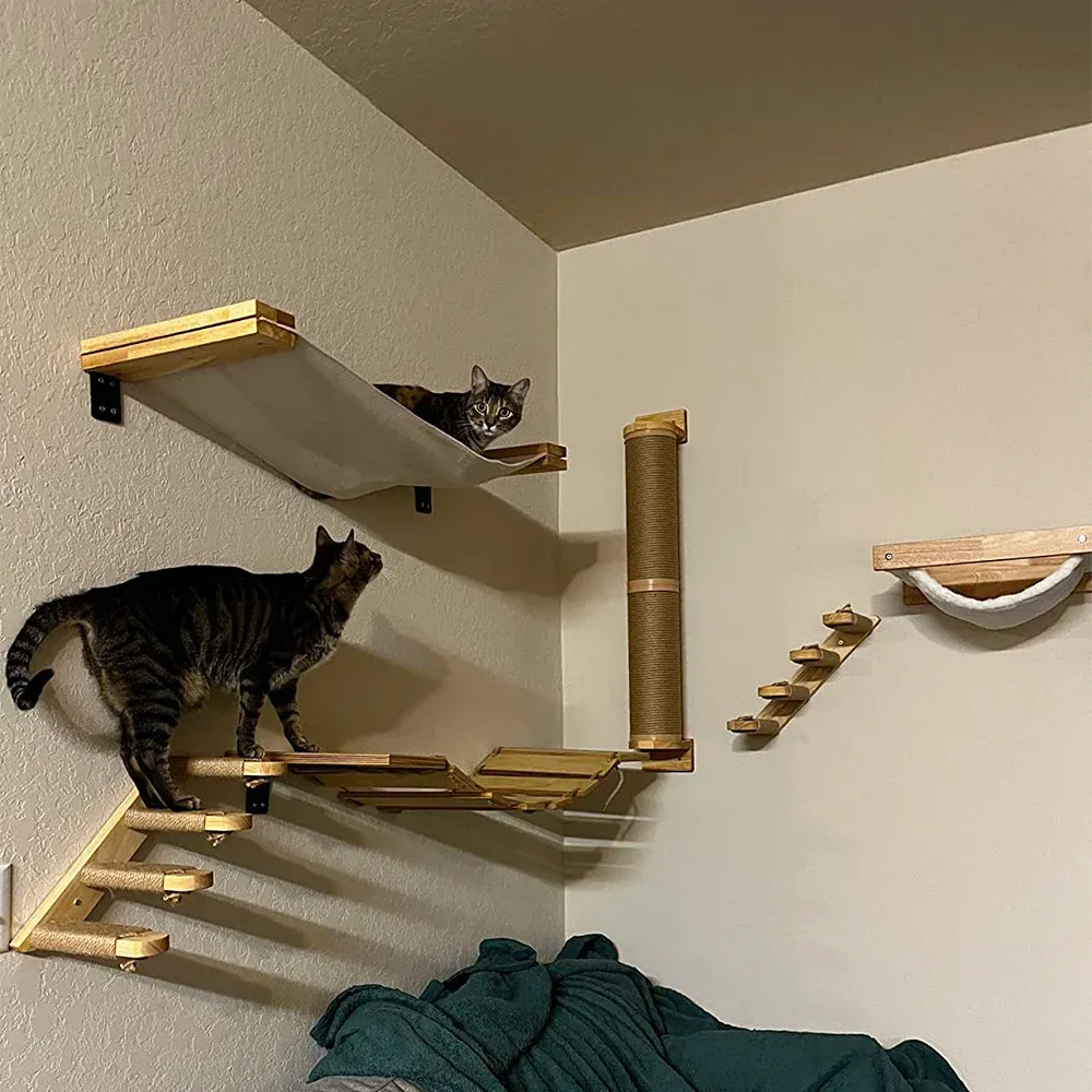 Scratchers Cat Tree Climbing półki na ścianę hamak drewniany drewniany post i platforma skokowa koty szlifowanie pazurów