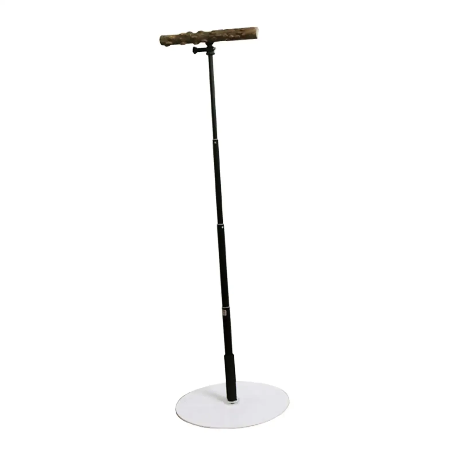 T Stand Parrot Training Playstand with Base Bird Perch for Finch Parakeet