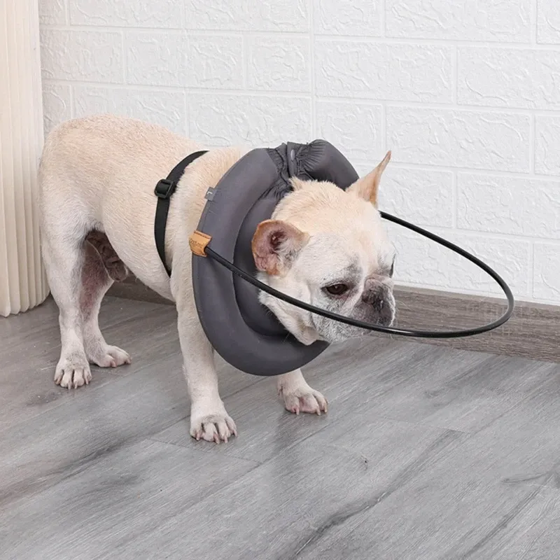 Lightweight Blind Dog Bumper Harness With Anti Collision Guide Gray Head Protector For The Carrier From Elsagirl 14.18 DHgate.Com