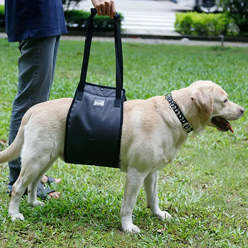 Harnesses Portable Dog Sling For Back Legs Hip Support Harness to Help Lift Dogs Rear For Canine Aid and Old Dog Ligament Rehabilitation