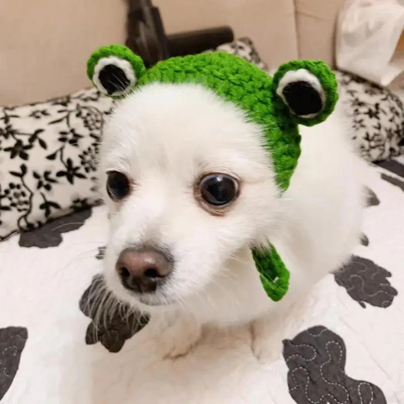 Dog Apparel Solid Color Pet Hat Hand-knitted 3d Frog Eye Decor Cute Headgear For Autumn Winter Small Cartoon Cat Supplies