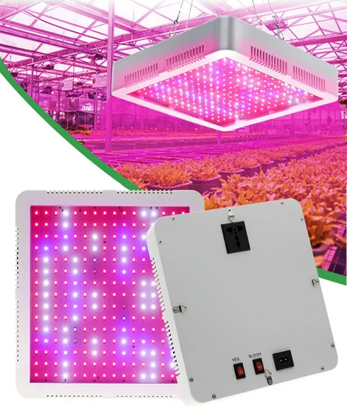 LED à spectre complet élèvent la lumière 2000W avec la lampe de plante à double interrupteur VEG et BLOOM pour la serre de tente de semis hydroponique d'intérieur Flow9695375