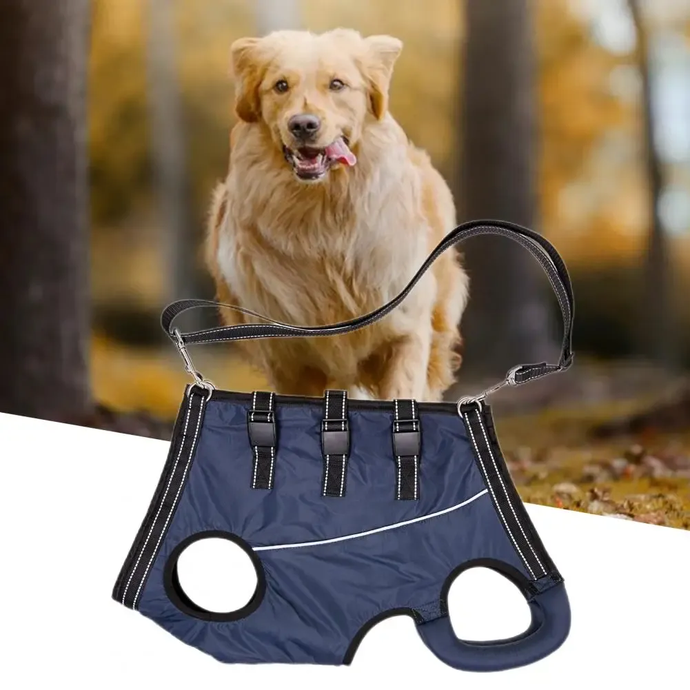 Colliers Ceinture de soutien pour animaux de compagnie Élastique Doux Confortable Harnais d'assistance aux jambes pour animaux de compagnie Sangle de poitrine pour chien de marche assistée réglable pour la récupération