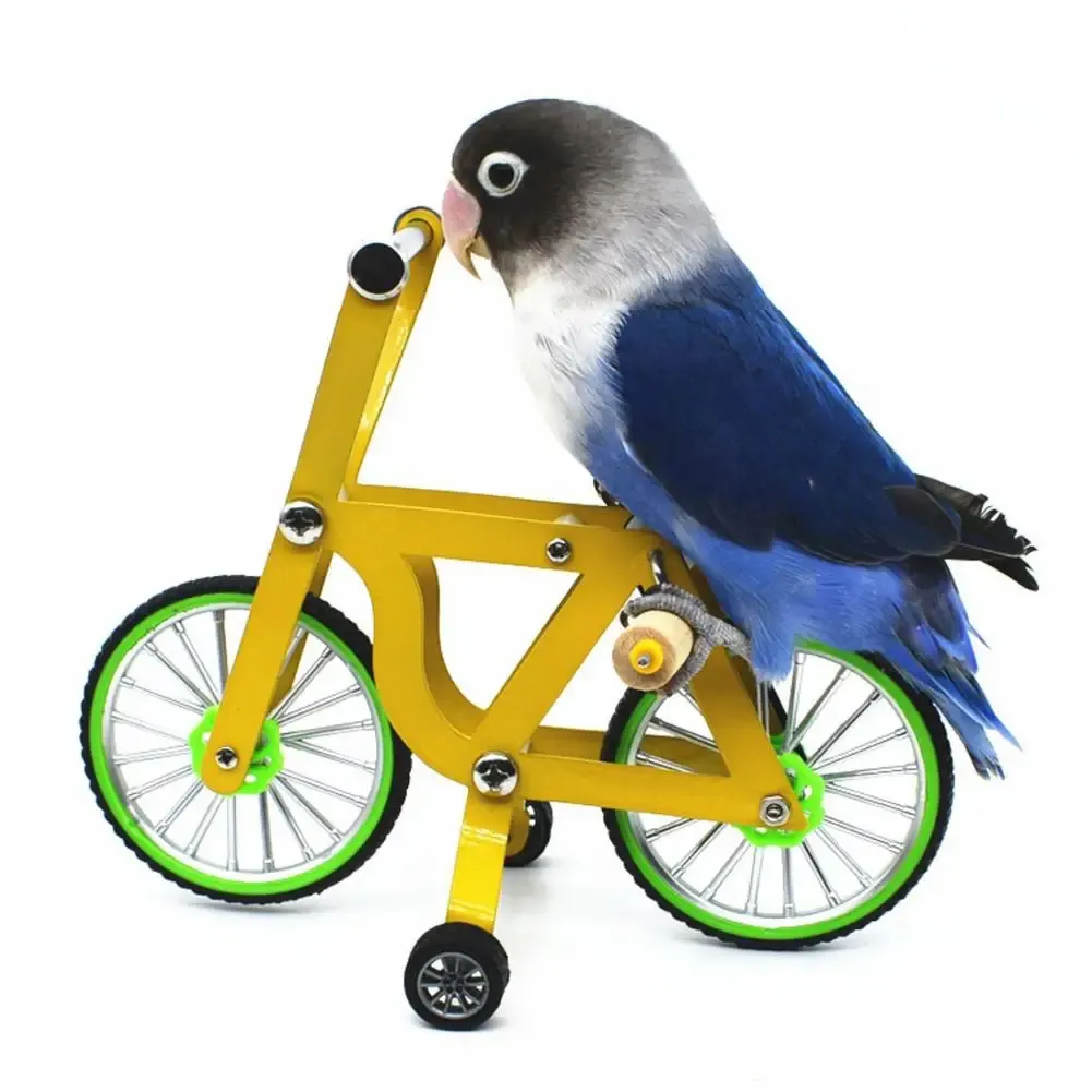 Mini vélo en métal pour perroquet, jouet d'entraînement pour oiseaux, accessoires éducatifs interactifs pour perruche, calopsitte, Conure, Lovebird