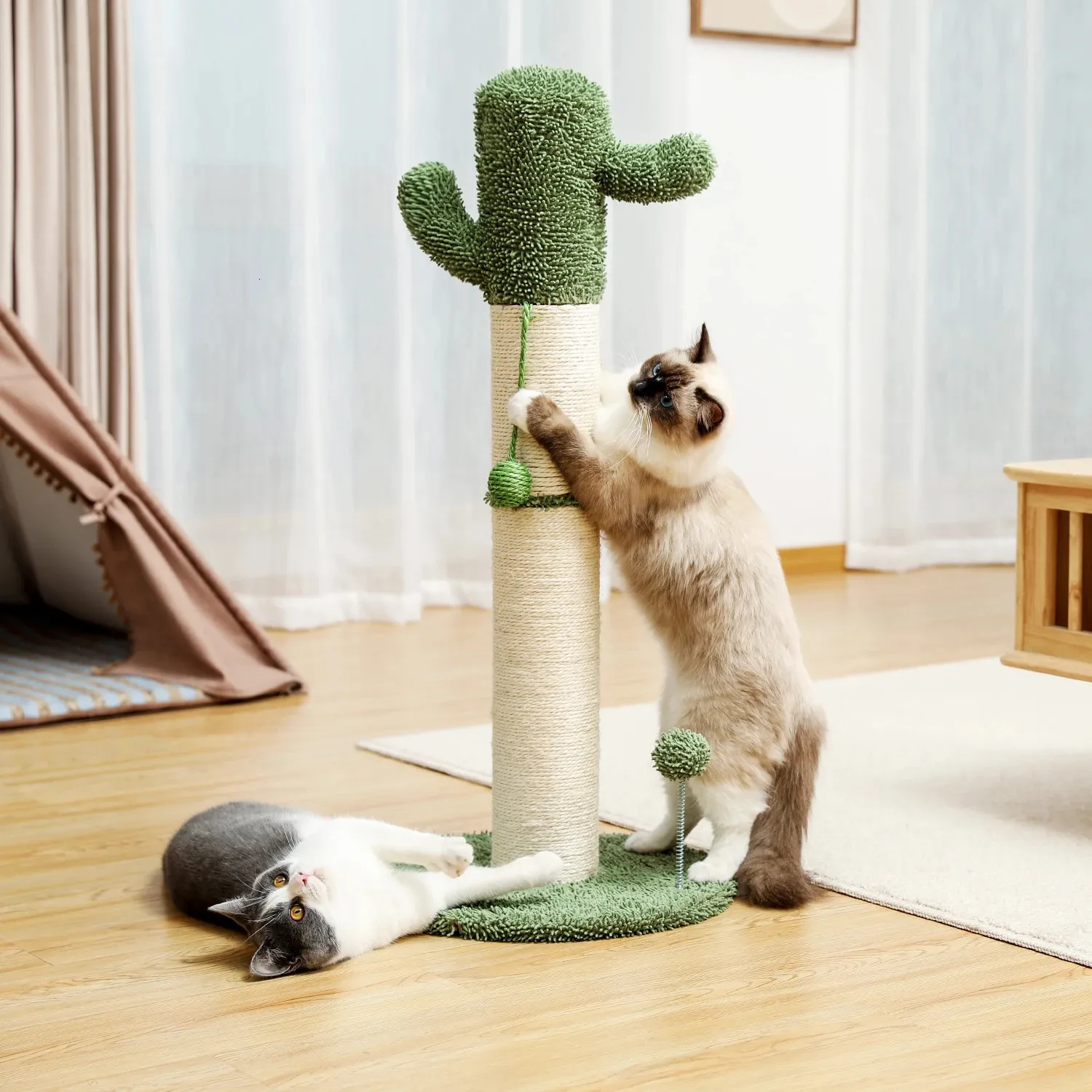 Cactus Cat Tree Scratcher med hängande boll helt inslagna sisal repor och dyna för inomhus stabila möbler skyddare 240220