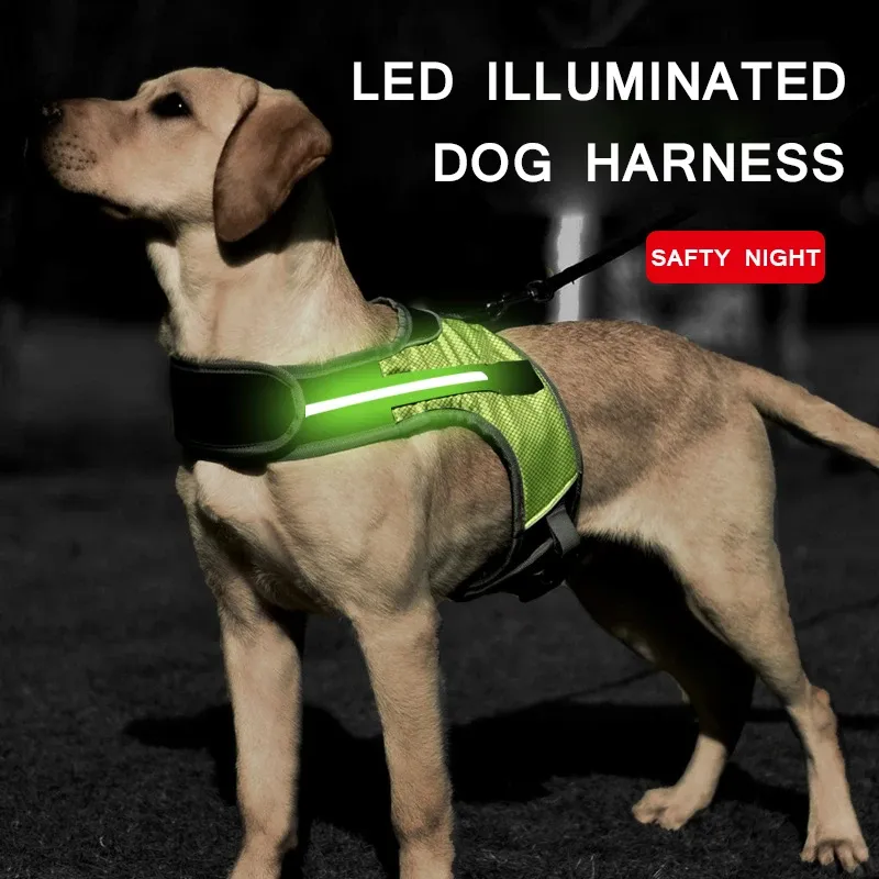 Uprzężę uprzężę psów LED LUMINOUS LIMINE UP PET KRESIE KRESY KATROWA DLA DUŻYCH PSÓW BEZPIECZEŃSTWO BEZPIECZEŃSTWA OBNOTORE