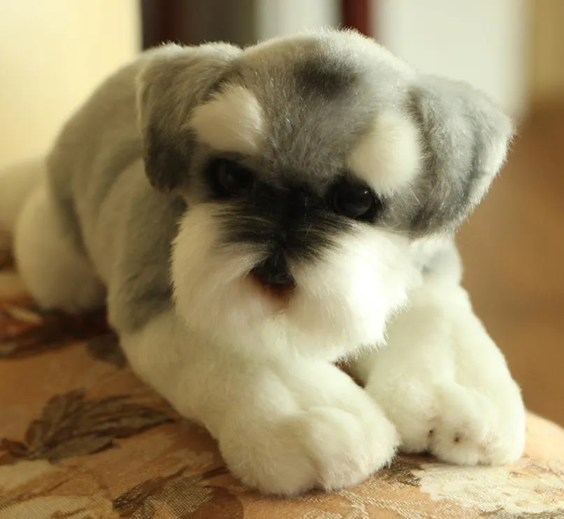 Simulação cão Schnauzer brinquedo de pelúcia boneca dos desenhos animados animais realistas cão presente de aniversário para crianças presentes decoração criativa DY502955106676