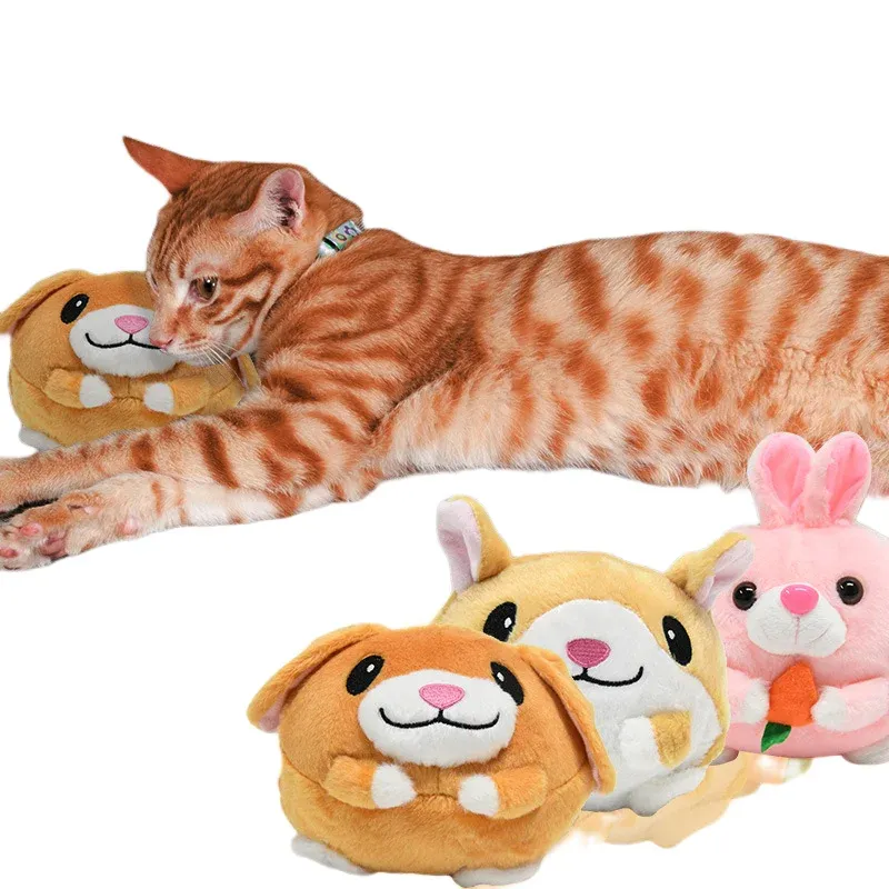 Jouets pour animaux de compagnie, balle sautante rebondissante, poupée de chien cochon de dessin animé, jouet en peluche électrique USB, jouets mignons pour enfants