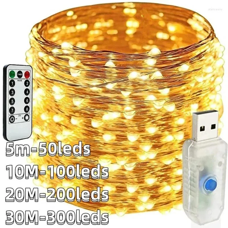 Строки 5 млн. 30 м USB String Lights 8 режимов сказочная медная проволока для рождественского года свадьбы