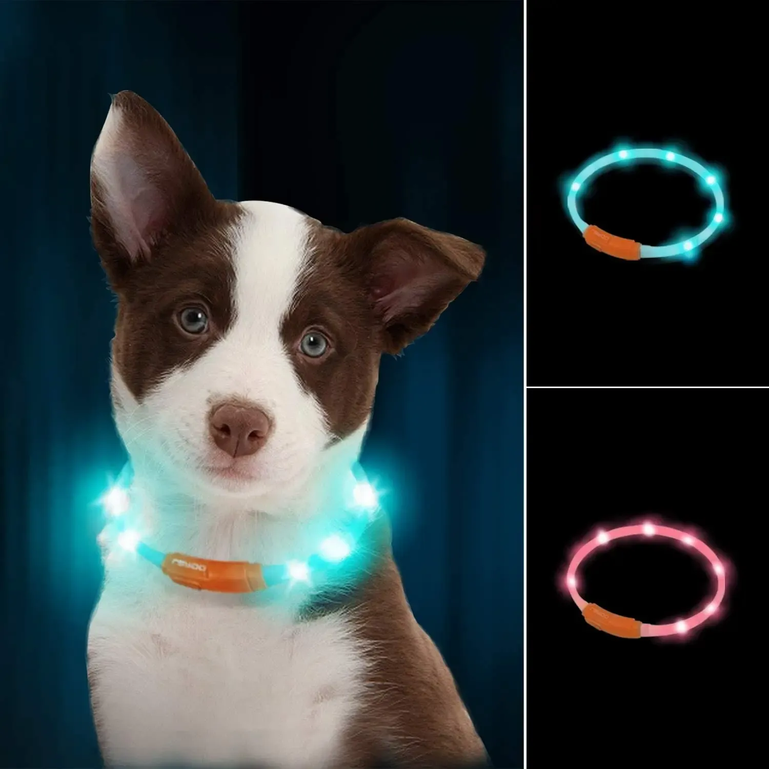 Gürtel LaRoo LED-Halsband für Hunde und Katzen, USB wiederaufladbar, leuchtendes Hundehalsband, verstellbar, Nachtsicherheit, wasserdicht, blinkendes Leuchthalsband