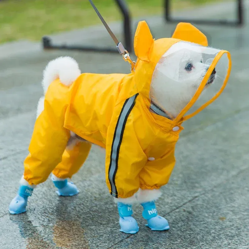 Regnrockar söt björn form hund regnrock valp regn jacka full kropp täckning med hatt reflekterande dubbel skiktad vattentät hund huva kappa