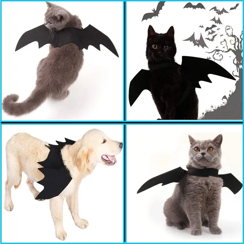 Mignon Halloween drôle animal de compagnie chauve-souris feutre ailes vêtements chien petit chien chat chien ailes Transformation vêtements