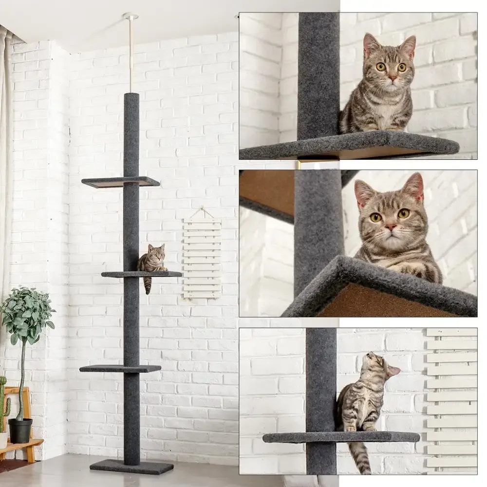 SCRACKERS H228274CM Livraison domestique Pet Pet Cat Floor au plafond Indoor Natural Scratch Post Réglable Tremping Aliming Toy