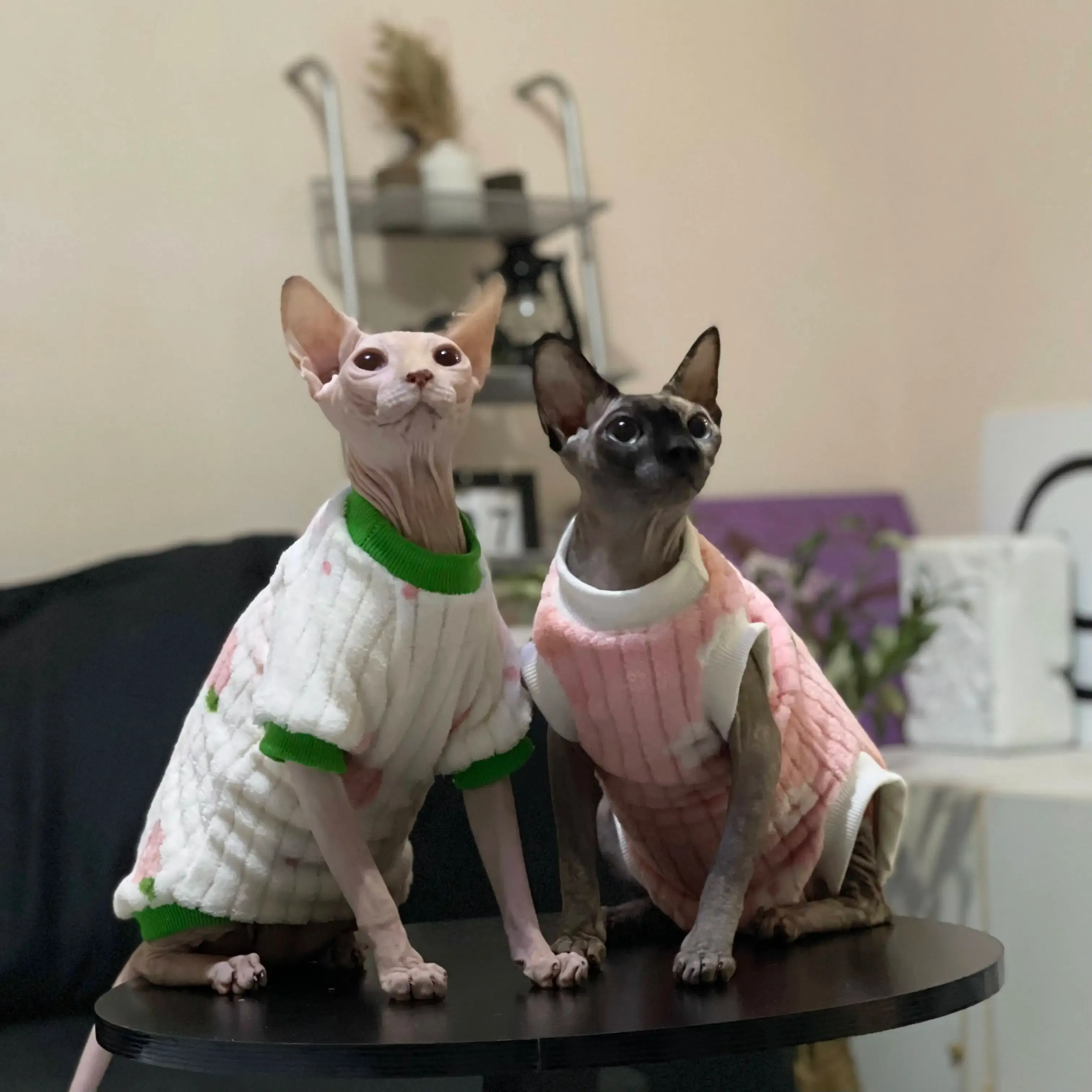 子猫犬用衣類スフィンクス猫の服のセーター